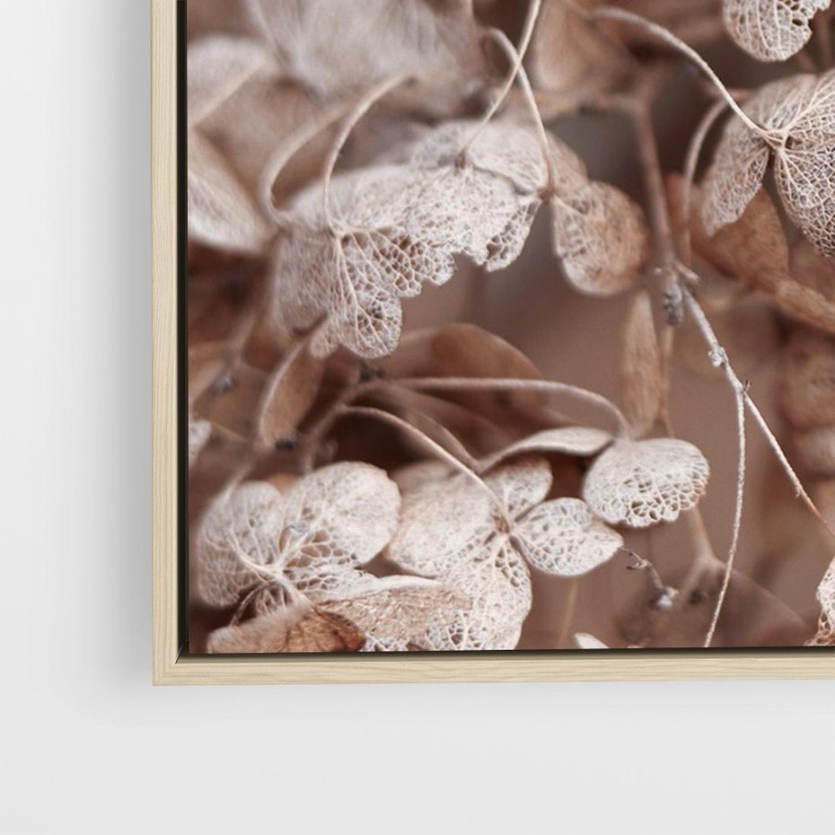 Obraz w ramie 70x50 - Przemijająca Piękność - fotografia, zbliżenie - rama drewno