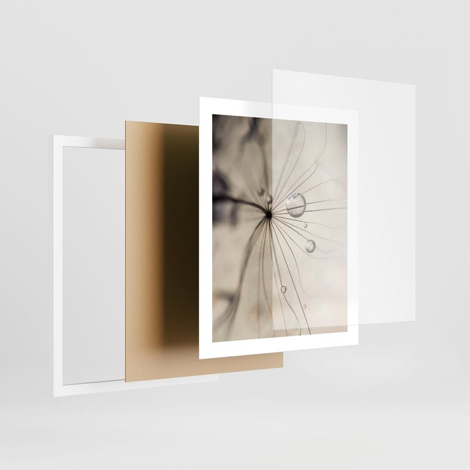 Plakat w ramie 40x50 - Makro Uroda: Kropla na Dmuchawcu - zbliżenie makro, kropla wody na ziarenku dmuchawca - rama biała