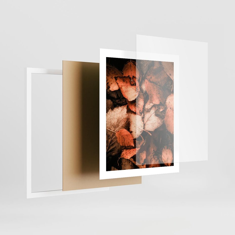 Plakat w ramie 40x50 - Jesienna Paleta - liście, jesień - rama biała