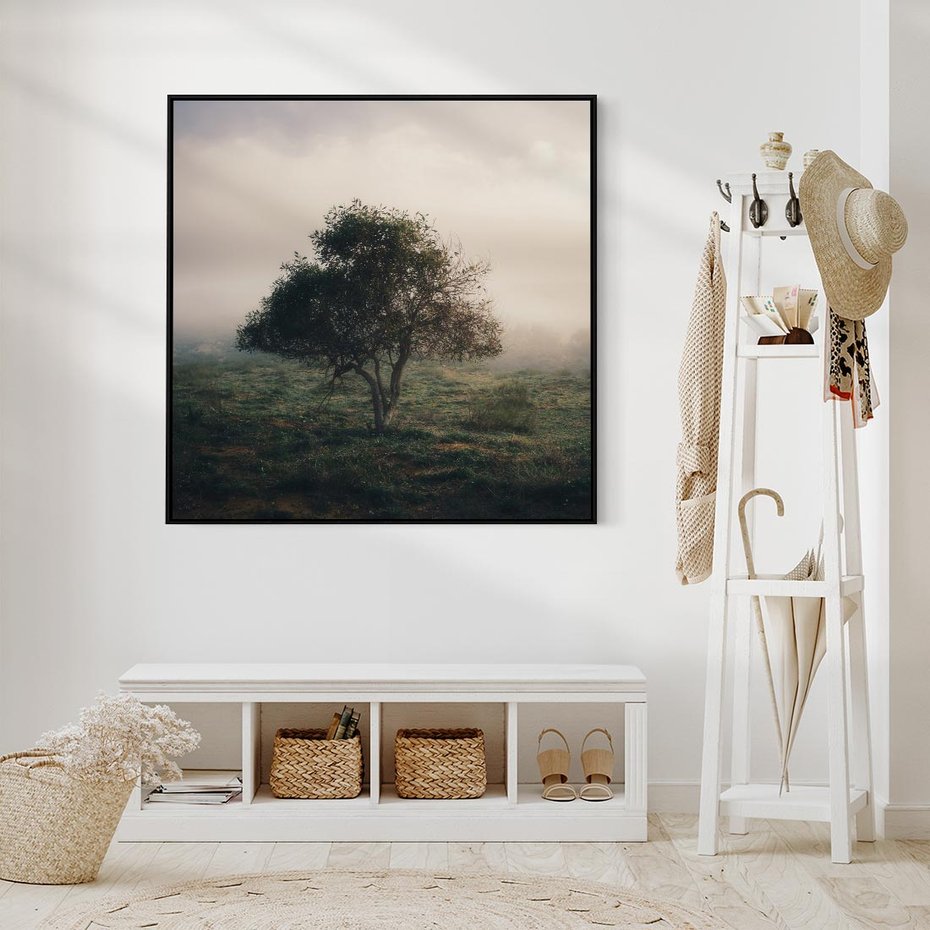Obraz w ramie 50x50 - Zamglona Prostota - artystyczna fotografia, samotne drzewo na zamglonej łące - rama czarna