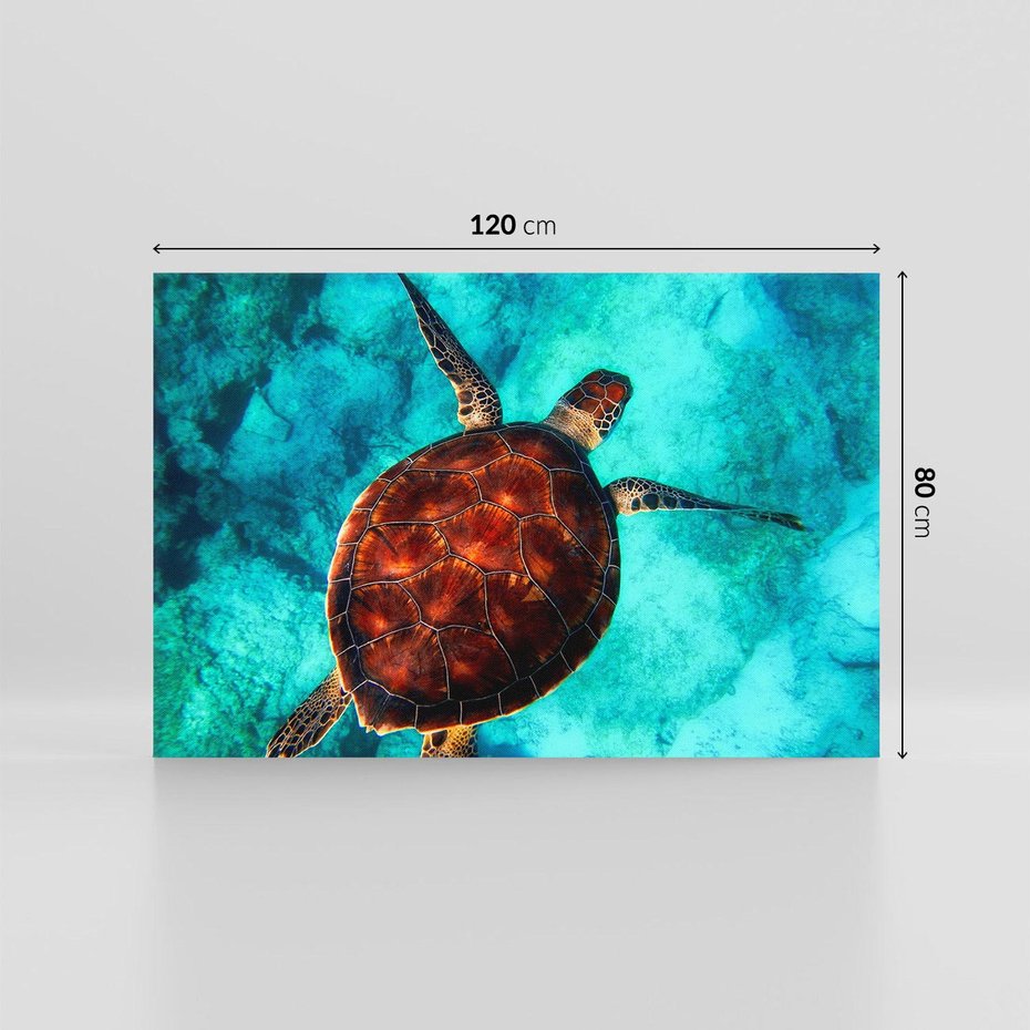 Obraz na płótnie 120x80 - Morze, fale i skały - żółw, morze