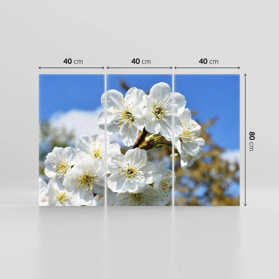 Obraz na płótnie 120x80 - Kwiatowa harmonia natury - kwiat, kwiaty