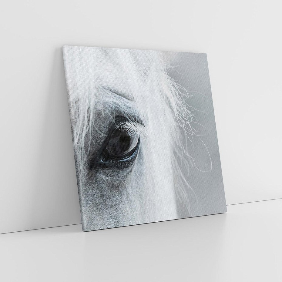 Obraz na płótnie 50x50 - Oko Mocy - czarno białe zdjęcie, zbliżenie makro na oko konia