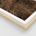 Plakat w ramie 50x70 - Szlachetna Suchość Traw - trawy, suche trawy - rama drewno