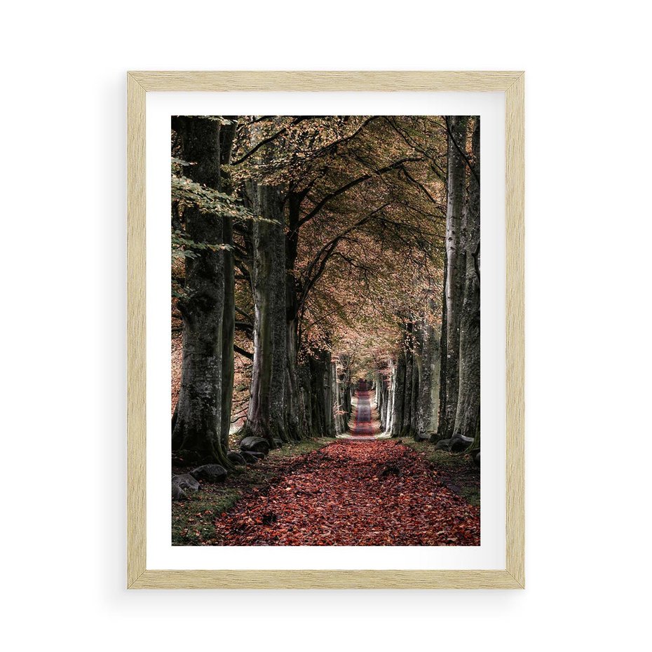 Plakat w ramie 50x70 - Spacer po Leśnej Drodze - ścieżka w lesie, jesień suche liście - rama drewno
