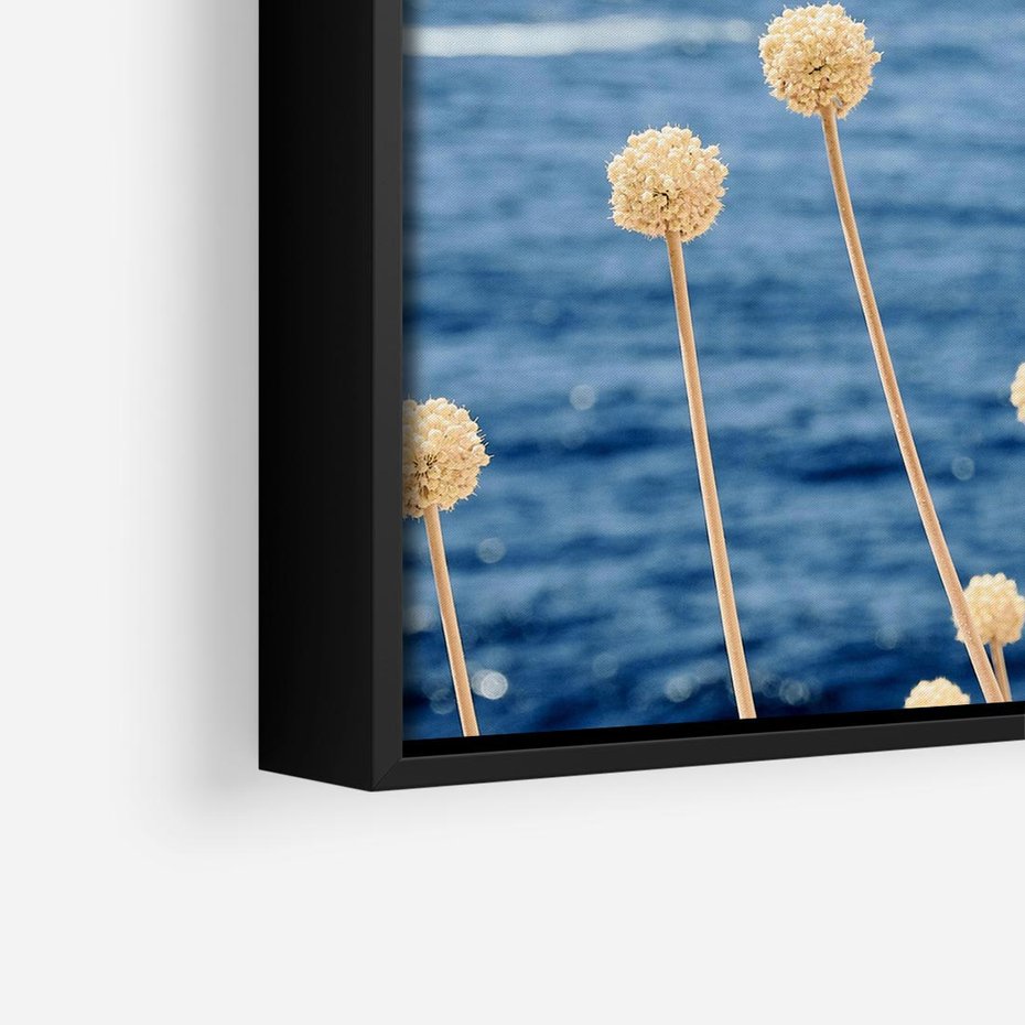 Obraz w ramie 50x50 - Kontrasty Natury - fotografia, pierwszy plan sucha roślinność - rama czarna