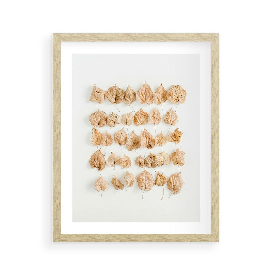 Plakat w ramie 40x50 - Liście Złotego Sezonu - kompozycja z suchych żółtych liści - rama drewno