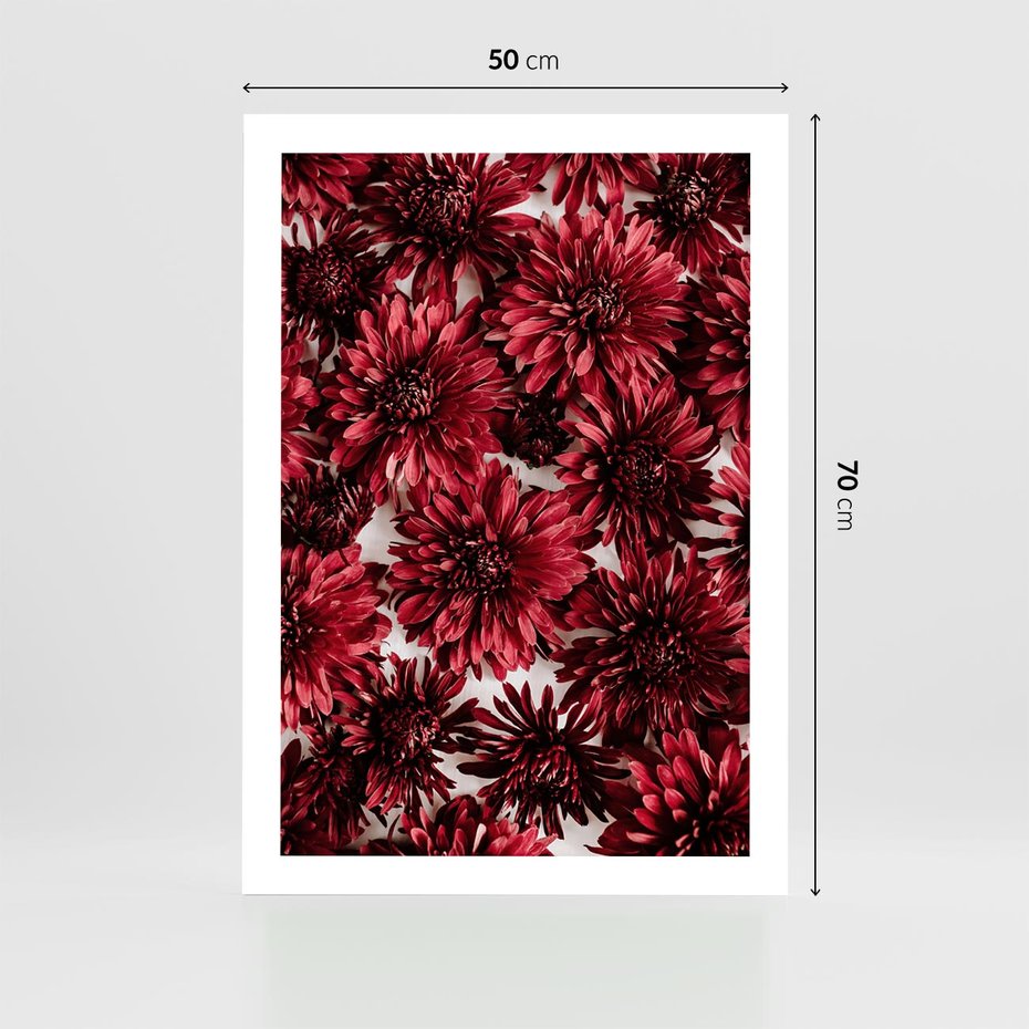 Plakat bez ramy 50x70 - Energia Kwiatów - czerwone kwiaty, kompozycja