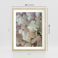 Plakat w ramie 40x50 - Kwiatowy taniec - kwiaty, hortensje - rama drewno