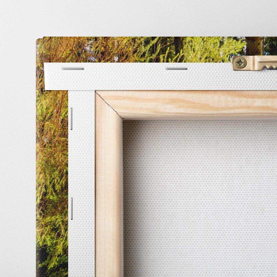 Obraz na płótnie 100x70 - Mistyka lasu - las, drzewa