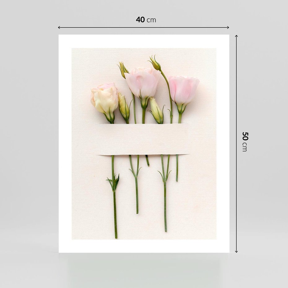 Plakat bez ramy 40x50 - Białe kwiatowe uniesienia - białe, kwiaty