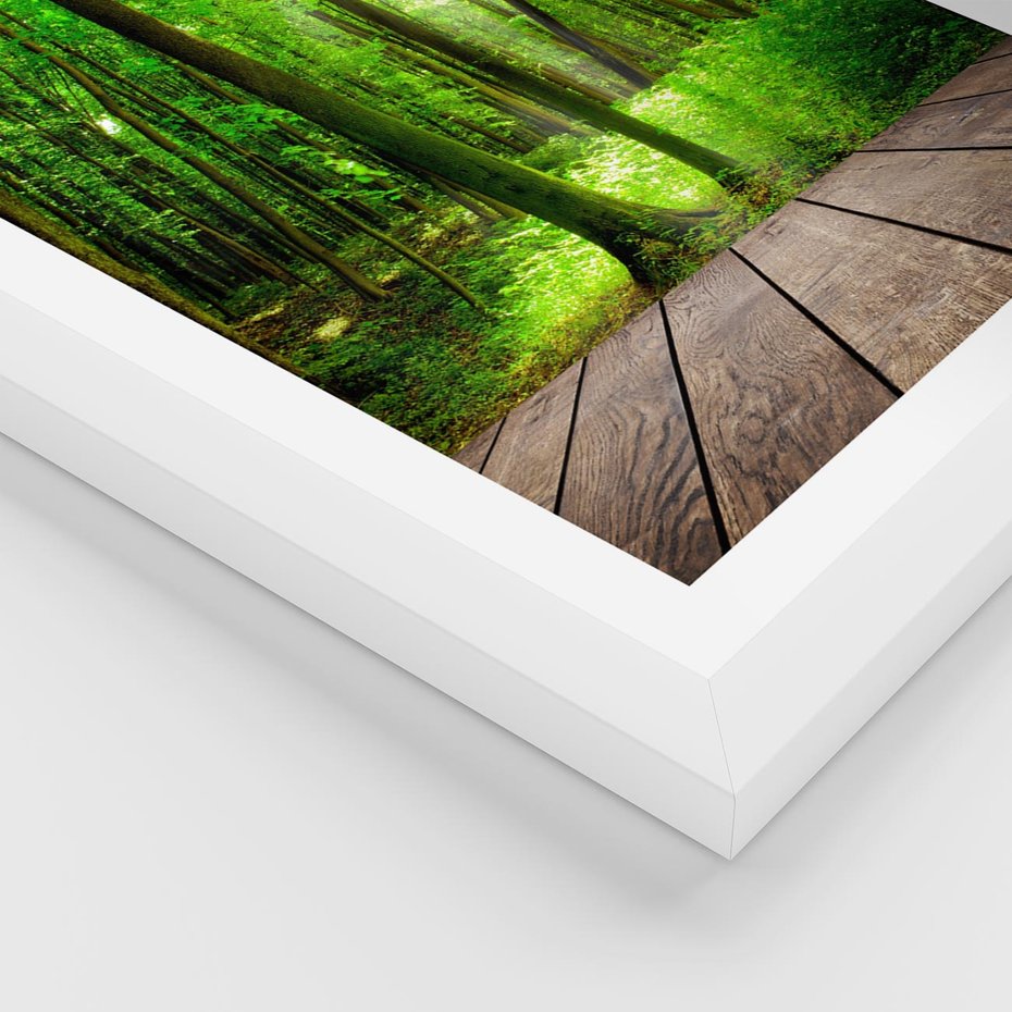 Plakat w ramie 30x40 - Spacer po urokliwej dróżce w lesie - las, dróżka - rama biała