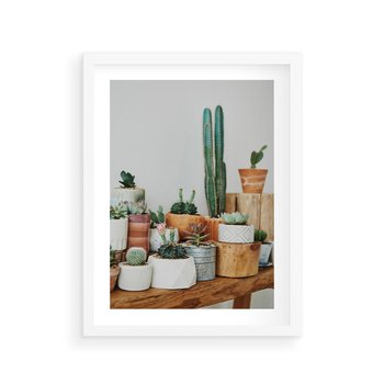 Plakat w ramie 30x40 - Kaktusowa Galeria w Doniczkach - kaktusy w doniczkach, fotografia - rama biała
