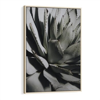 Obraz w ramie 70x100 - Sukulenty wśród kaktusów - sukulenty, kaktusy - rama drewno