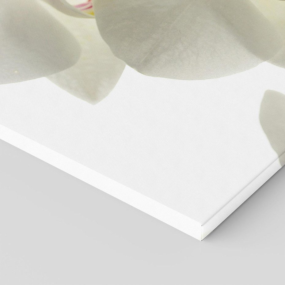 Obraz na płótnie 120x80 - Kwiatowe piękno - kwiat, kwiaty