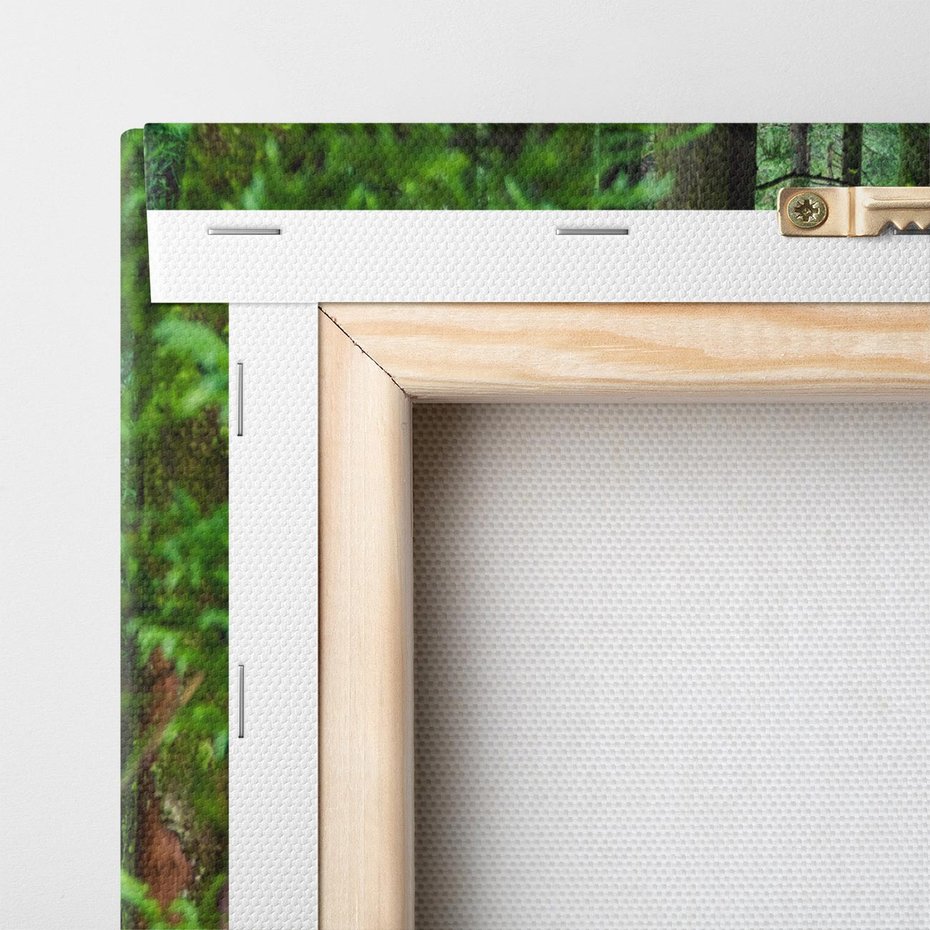 Obraz na płótnie 100x70 - Mistyka leśnej głuszy - las, drzewa