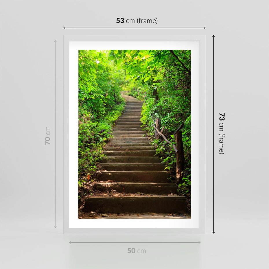 Plakat w ramie 50x70 - Lasowa ścieżka pełna tajemnic - ścieżka, schody - rama biała