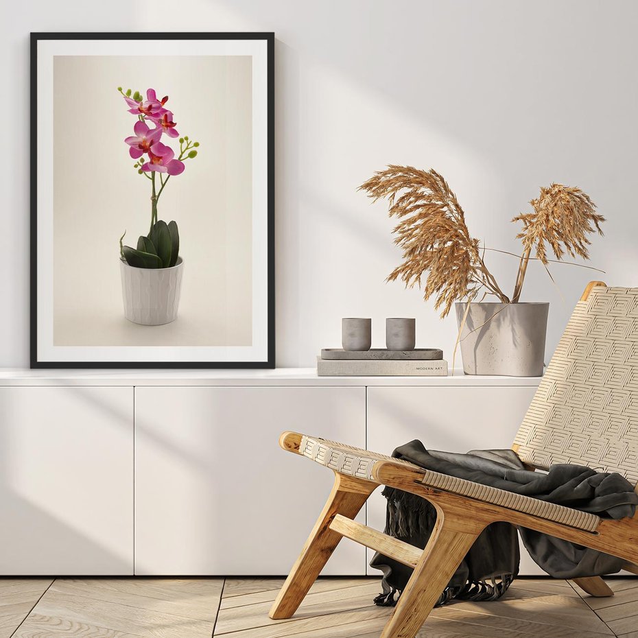 Plakat w ramie 40x50 - Delikatność storczyka orchidei - storczyk, orchidea - rama czarna