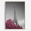 Obraz w ramie 50x70 - Różowy Paryż - czarno białe zdjęcie, wieża eiffla - rama drewno