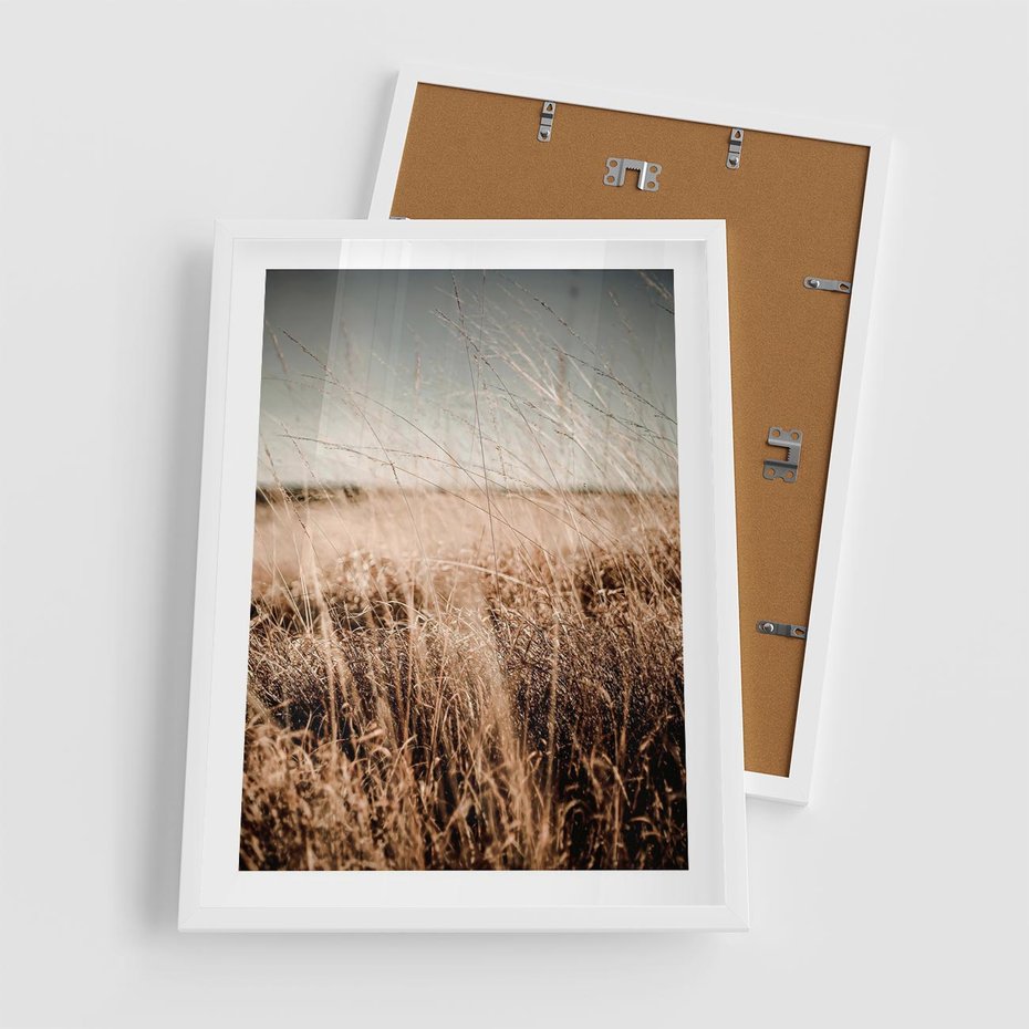 Plakat w ramie 50x70 - Sucha Trawa w Odcieniach Sepii - suche trawy, łąka odcienie beżu - rama biała