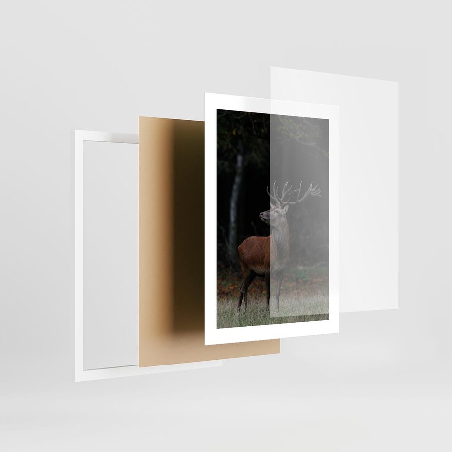 Plakat w ramie 30x40 - Spotkanie z naturą - jeleń, las - rama biała