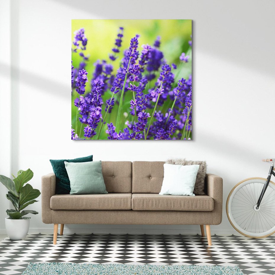 Obraz na płótnie 30x30 - Elegancka lawenda w pełnym rozkwicie - lawenda, kwiaty
