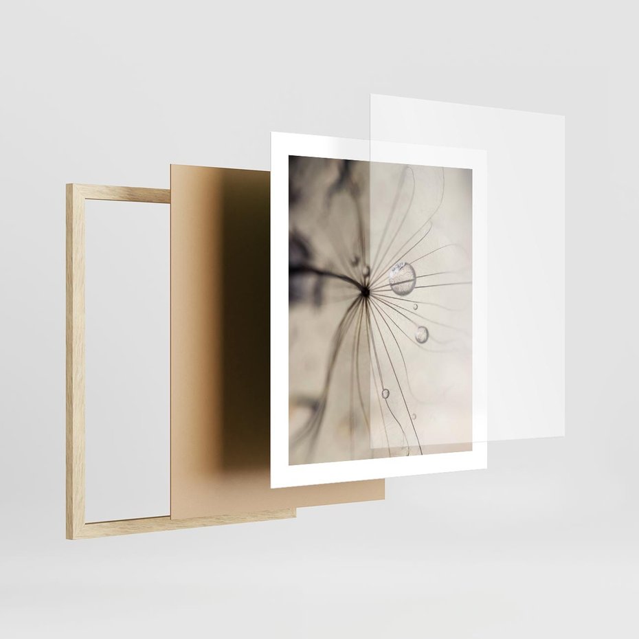 Plakat w ramie 40x50 - Makro Uroda: Kropla na Dmuchawcu - zbliżenie makro, kropla wody na ziarenku dmuchawca - rama drewno