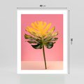 Plakat bez ramy 40x50 - Majestatyczna monstera - monstera, liść