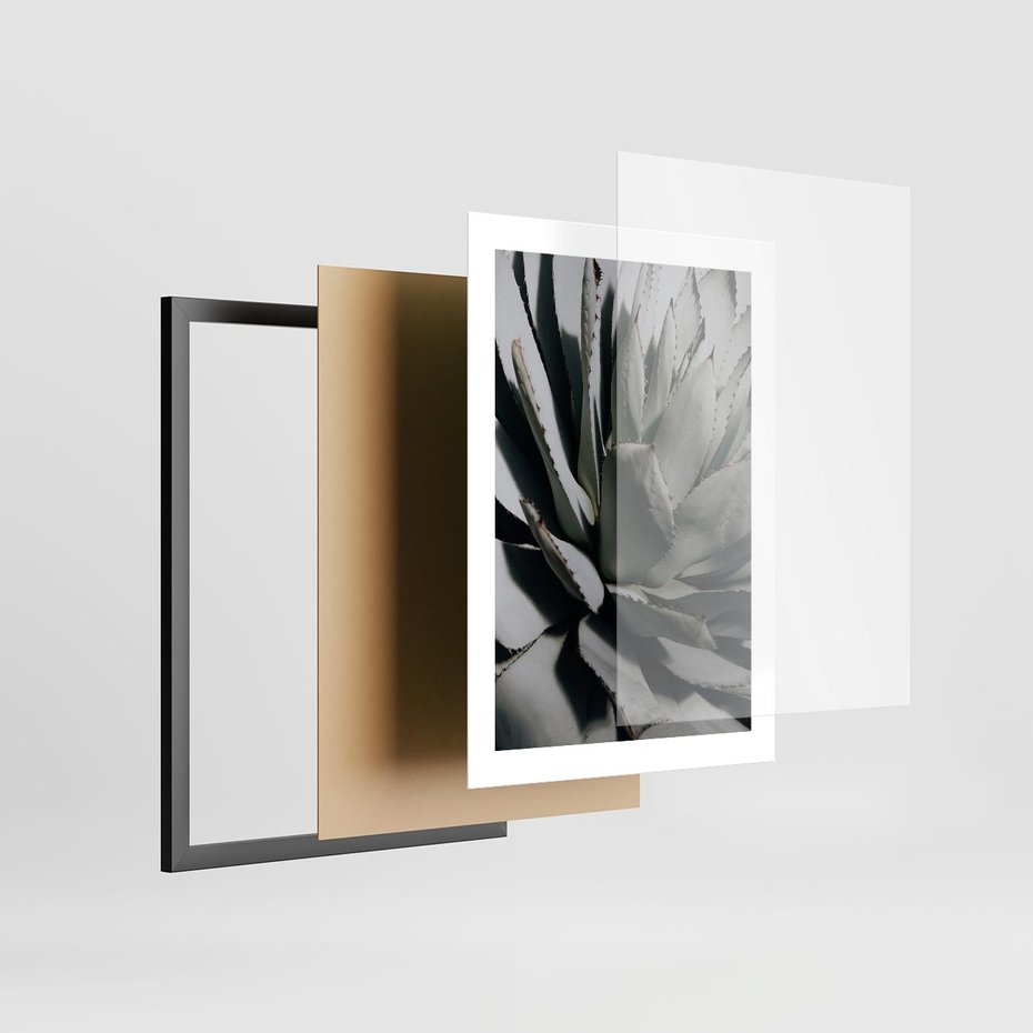 Plakat w ramie 30x40 - Sukulenty wśród kaktusów - sukulenty, kaktusy - rama czarna