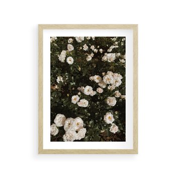 Plakat w ramie 30x40 - Czyste Piękno - białe kwiaty, białe róże - rama drewno