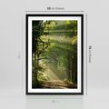 Plakat w ramie 50x70 - harmonia natury - las, drzewa - rama czarna