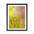Plakat w ramie 50x70 - Delikatność natury - lawenda, kwiaty - rama czarna