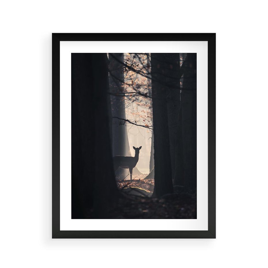 Plakat w ramie 40x50 - Sarnie Skoki - zdjęcie, klimatyczny las - rama czarna
