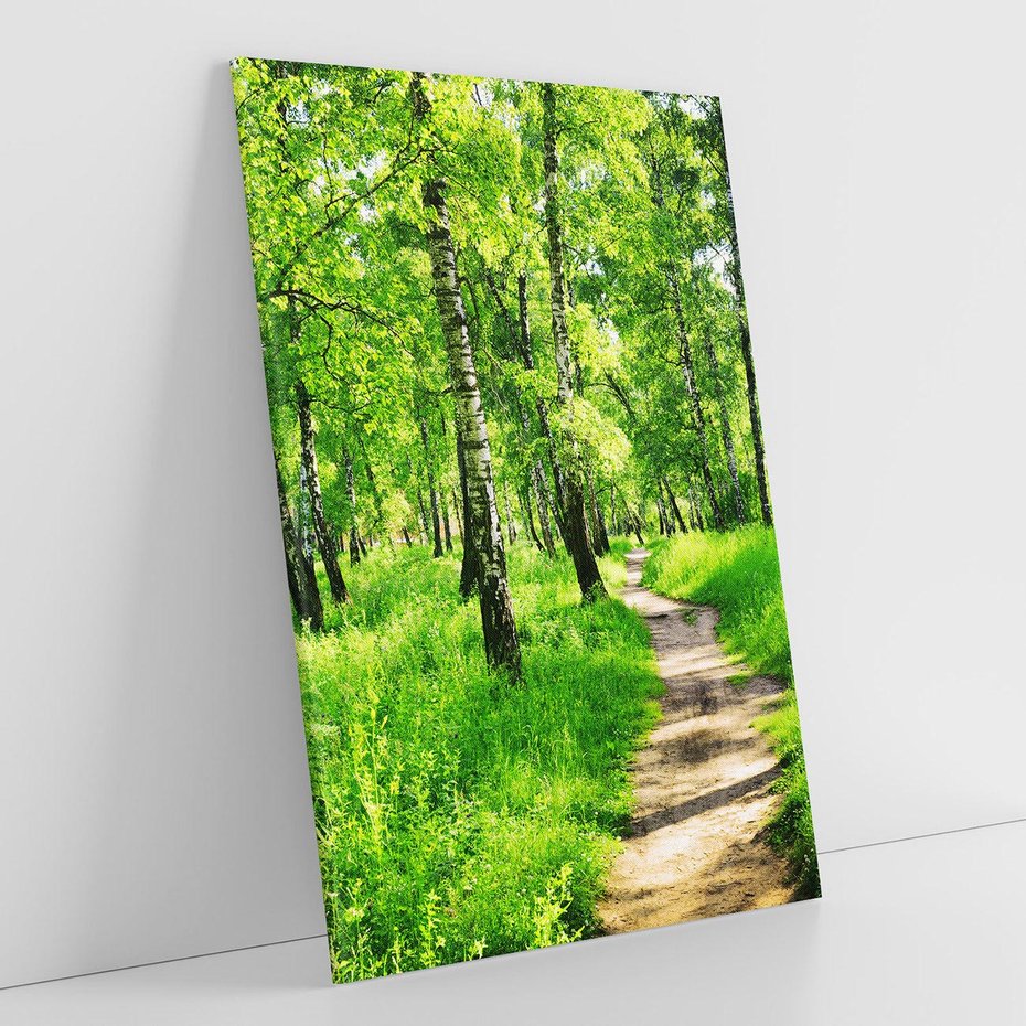 Obraz na płótnie 80x120 - odkryj piękno drzew - las, drzewa