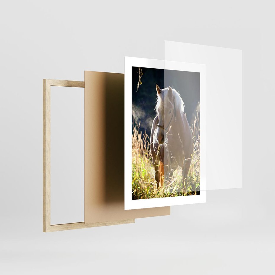 Plakat w ramie 30x40 - Spotkanie konia na łące - koń, łąka - rama drewno