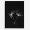 Obraz w ramie 50x70 - Delikatność Wiatru - dmuchawce, makro - rama czarna