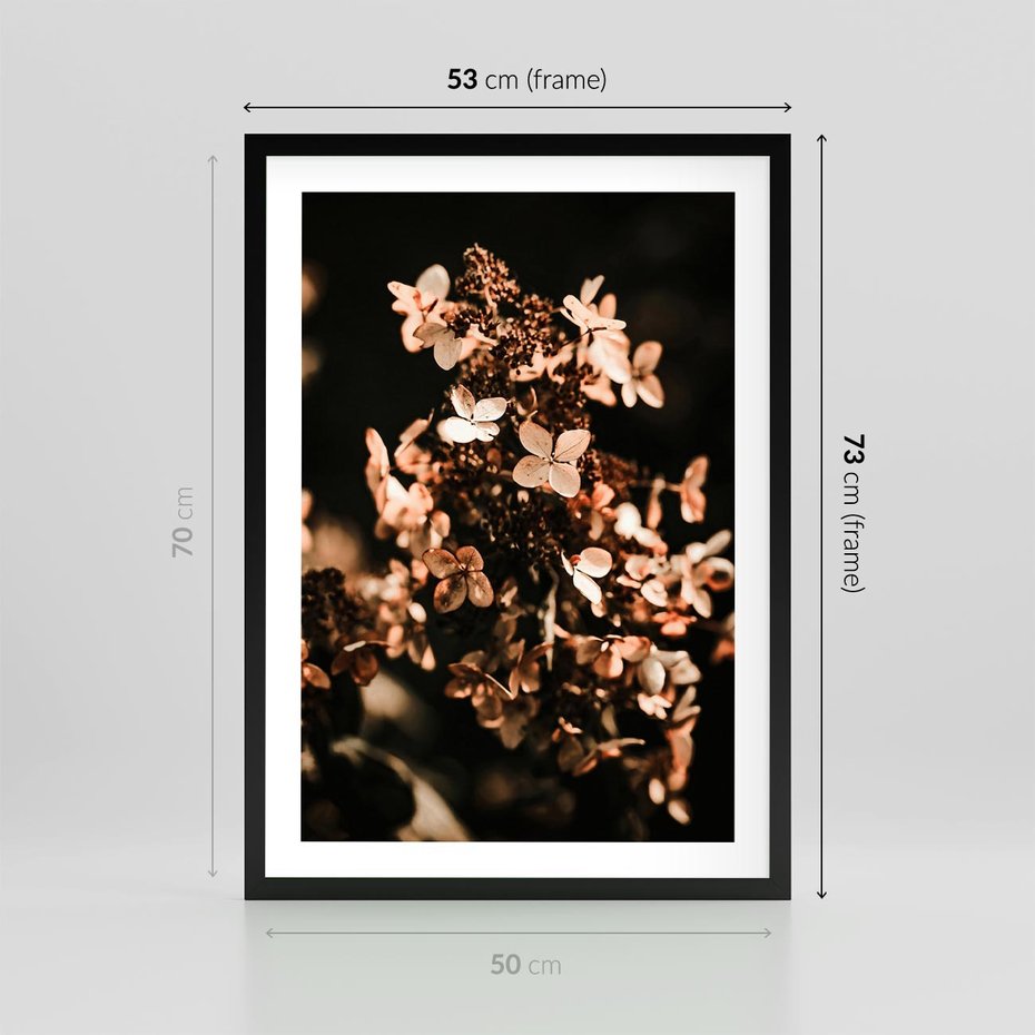 Plakat w ramie 50x70 - Hortensja - Suchy Kwiat w Sztuce - hortensja, suchy kwiat - rama czarna