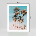 Plakat bez ramy 40x50 - Egzotyczna Koszykówka - palmy na tle nieba, koszykówka