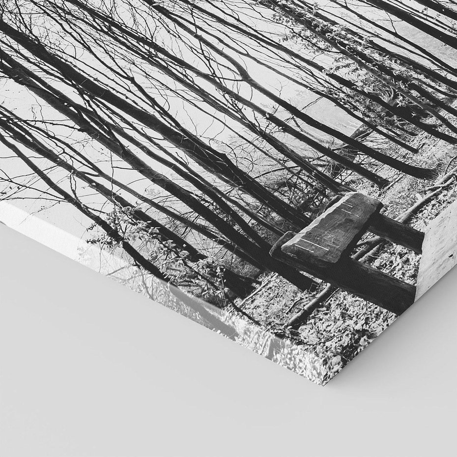 Obraz na płótnie 120x80 - Spadające Liście - czarno białe zdjecie, park