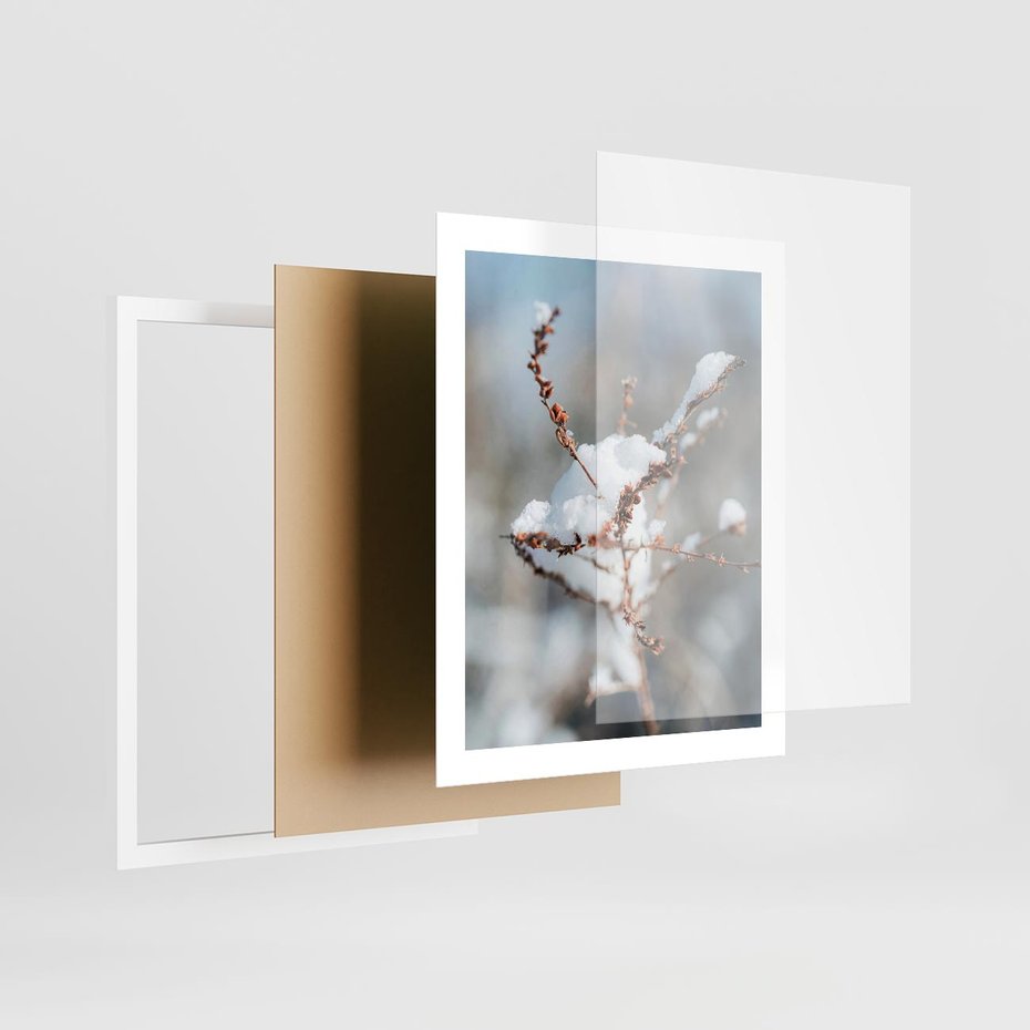 Plakat w ramie 40x50 - Zimowy Urok Natury - gałązki pod śniegiem, natura - rama biała