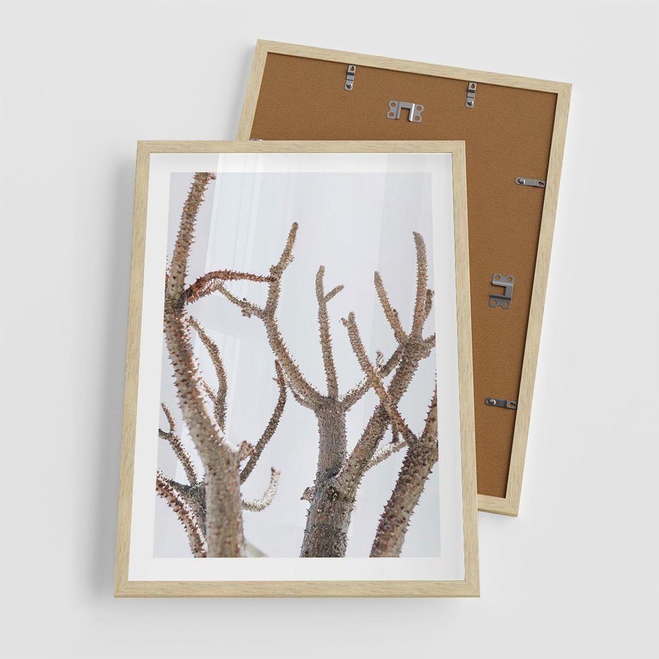 Plakat w ramie 50x70 - Pustynna Harmonia Gałęzi - pustynna roślina, suche gałęzie - rama drewno