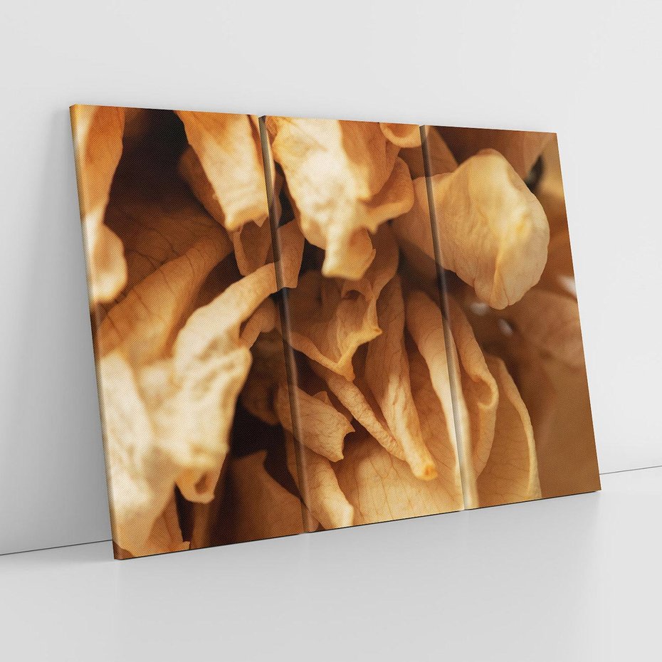 Obraz na płótnie 120x80 - Zjawiskowe zasuszone kwiaty - zasuszone, kwiaty