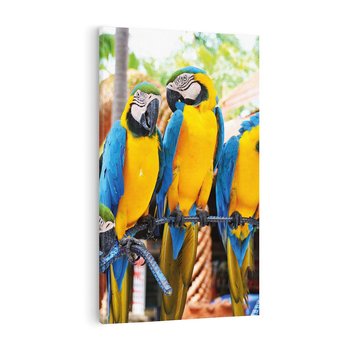 Obraz na płótnie 80x120 - Kolorowa parada papug - papuga, papugi