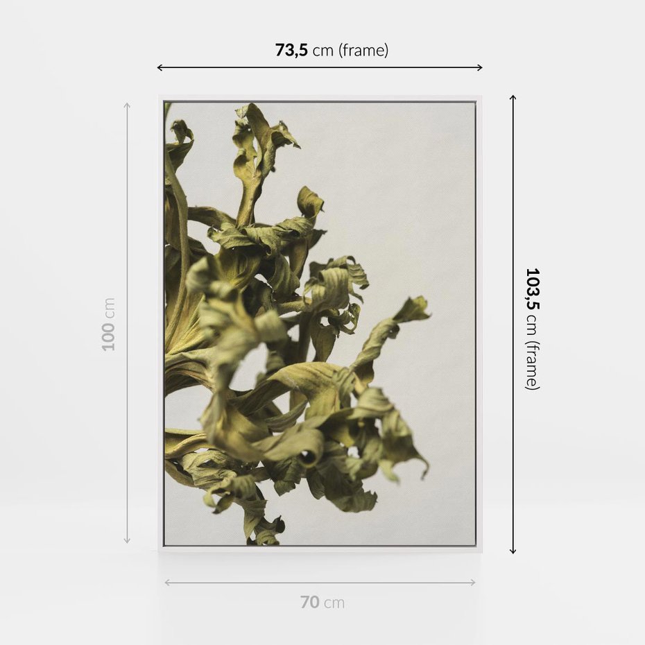 Obraz w ramie 70x100 - Odejście pory deszczowej - suche, trawy - rama biała