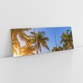 Obraz na płótnie 150x50 - Rajskie palmy w tropikalnym raju - palmy, tropiki