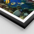 Plakat w ramie 50x70 - Podwodne królestwo rafy koralowej - rafa, koralowa - rama czarna