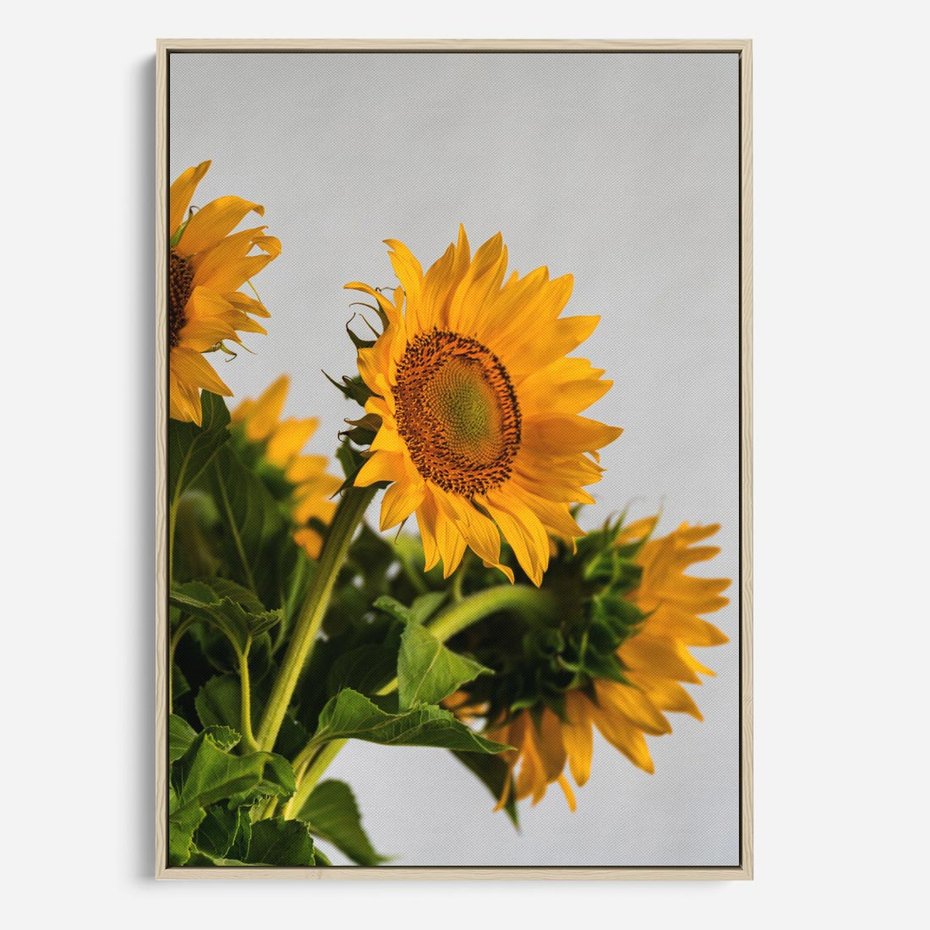 Obraz w ramie 80x120 - Słoneczna Radość - fotografia, żółte słoneczniki - rama drewno