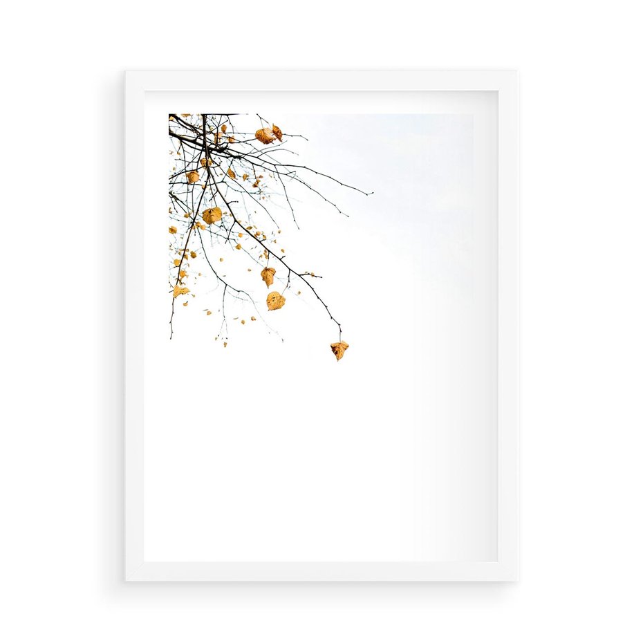 Plakat w ramie 50x70 - Złota Jesień - drzewo, żółte liście - rama biała