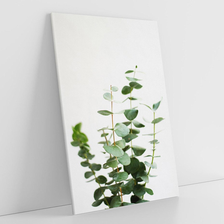 Obraz na płótnie 80x120 - Żywa eukaliptusowa zieleń - eukaliptus, zielone