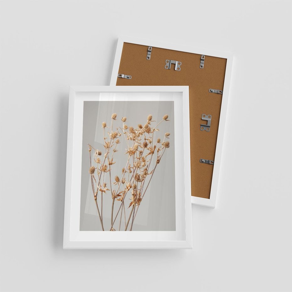 Plakat w ramie 30x40 - Delikatne gipsówki - gipsówka, suche - rama biała